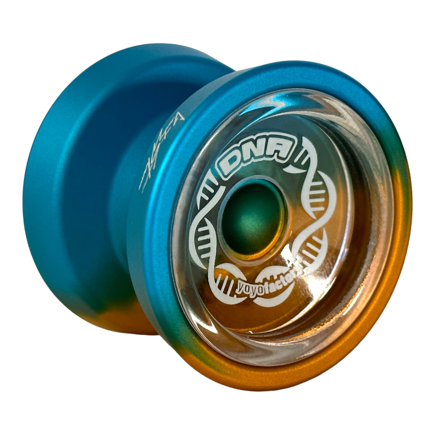 DNA YoYo