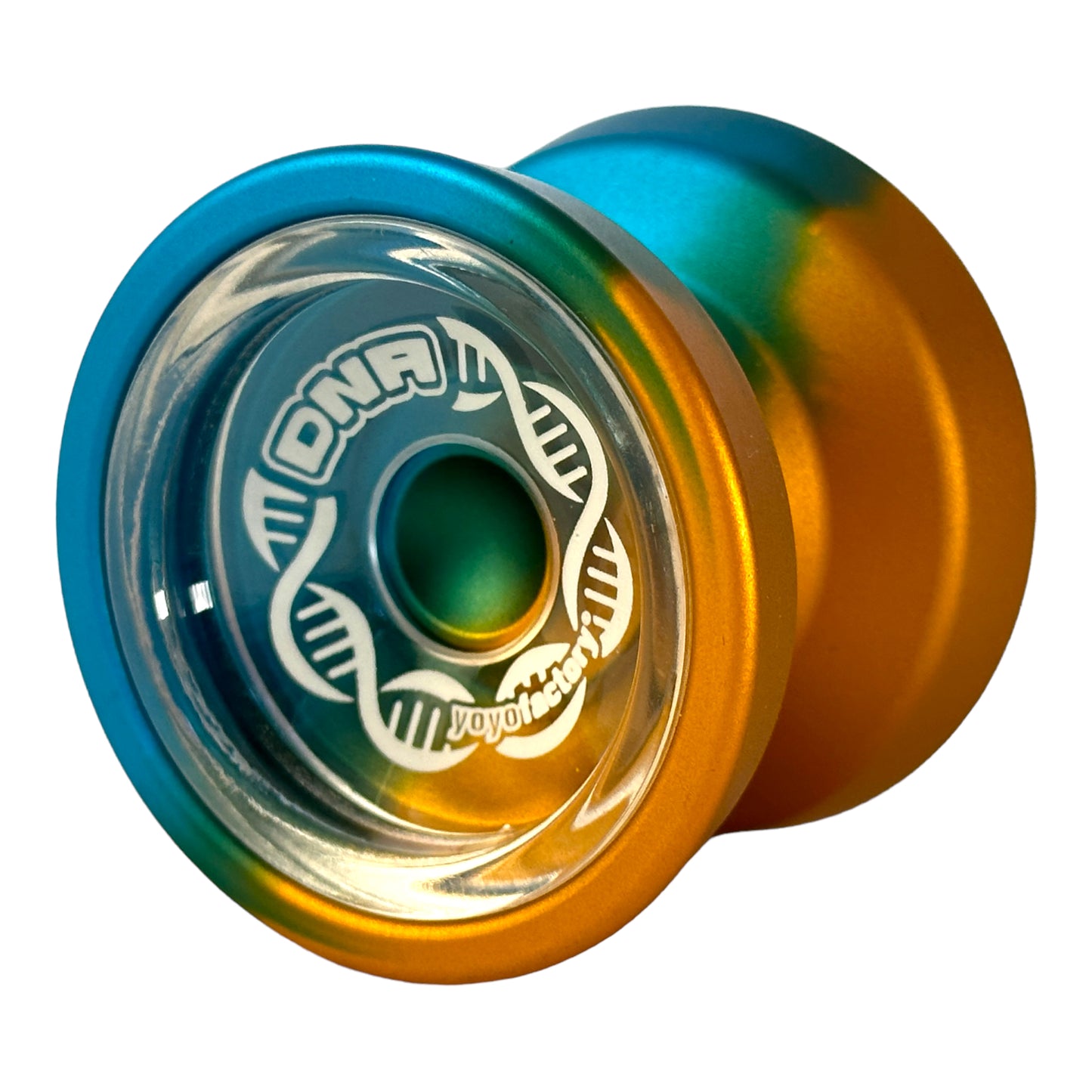 DNA YoYo