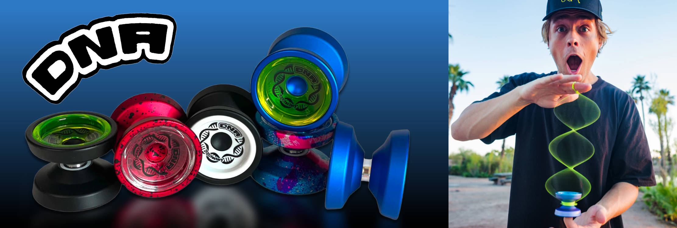 New DNA yoyo, display and picture of Gentry Stine doing the DNA trick