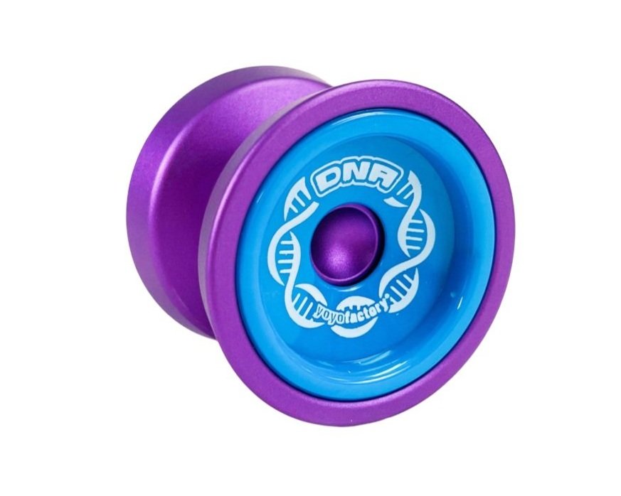 DNA YoYo