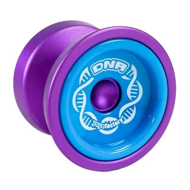 purple dna yoyo with blue caps