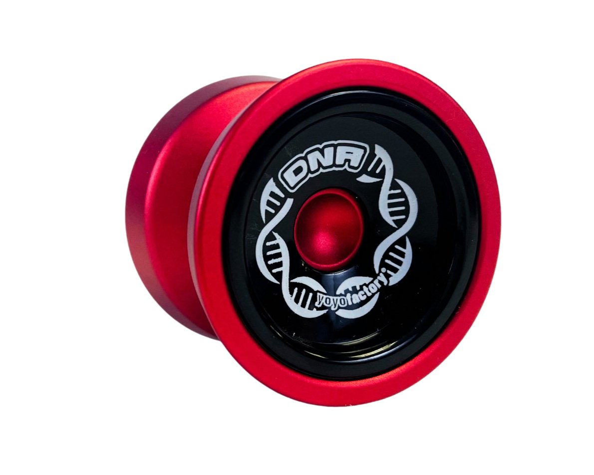 DNA YoYo