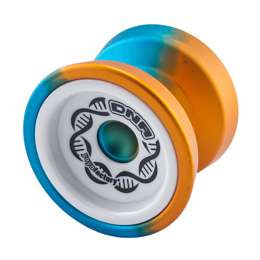 DNA YoYo
